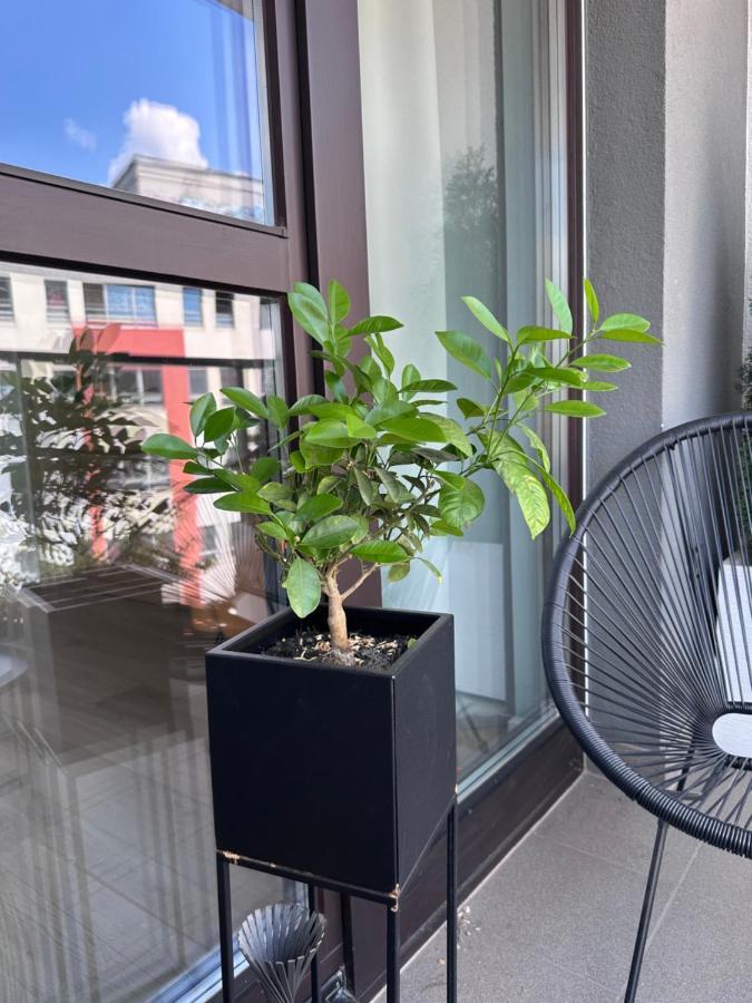 ワルシャワOrange Houseアパートメント エクステリア 写真